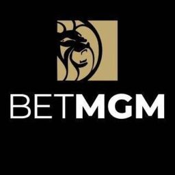 BetMGM LLC